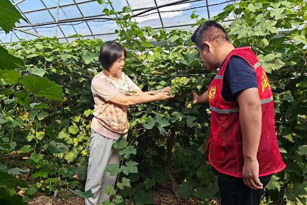长丰县岗集镇:“三个标准化”绘就乡村振兴“和美画卷” (1).jpg
